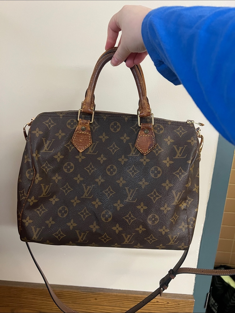 Louis Vuitton Monogram Speedy Bag in Brown and Tan